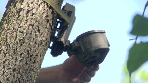 Eyecon Crossfire 7MP Invisi-Flash Trail / Game Camera Camo - image 5 from the video